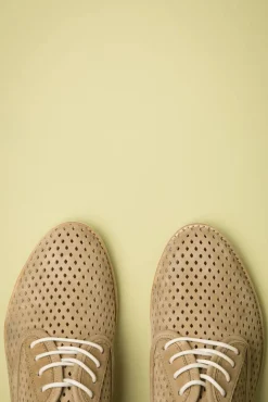 Derby Punch Schoenen In Walnoot