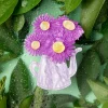 Garden Star Broche