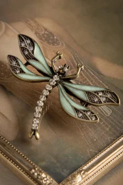 Hoe U Uw Dragonfly-Broche Kunt Trainen