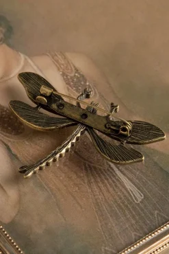 Hoe U Uw Dragonfly-Broche Kunt Trainen